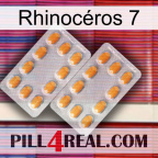 Rhinocéros 7 cialis4